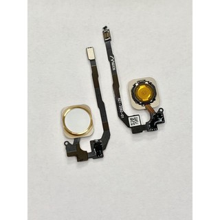 Nút home điện thoại iFon 5S