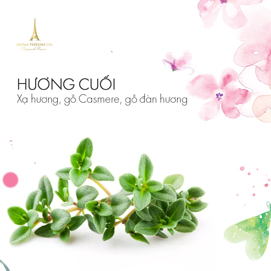 TINH DẦU NƯỚC HOA PHÁP AROMA DOLCE OIL 12ML | BigBuy360 - bigbuy360.vn