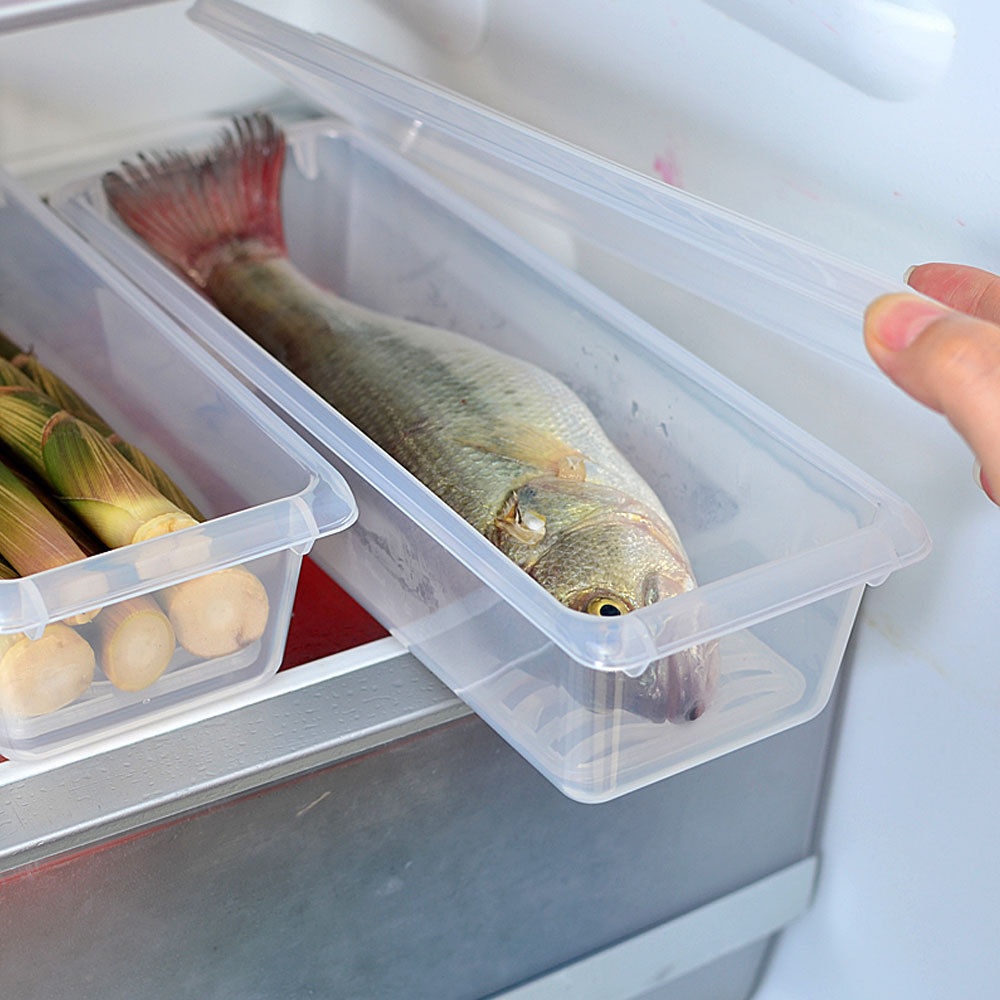 Hộp Nhựa Đựng Thức Ăn Tươi/Cá Chép Để Tủ Lạnh/Làm Quà Tặng Giáng Sinh