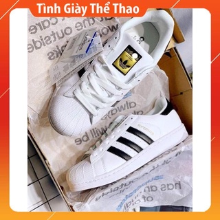 Giày Sneaker Nam Nữ Trắng Adidas Mũi Sò, Giày Thể Thao Das Sò Đủ Size Nam Nữ