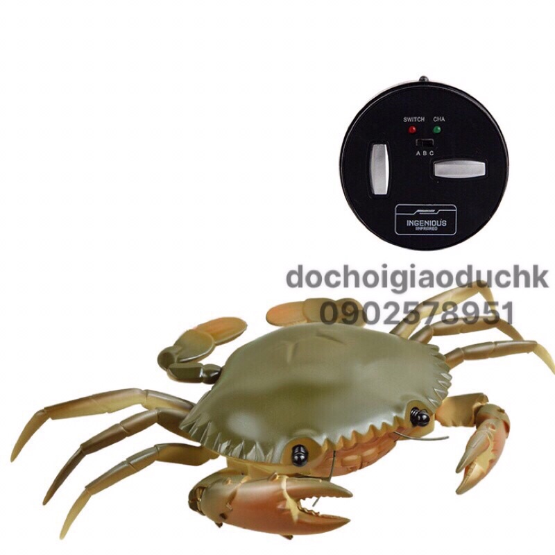 Đồ chơi cua điều khiển - động vật diều khiển
