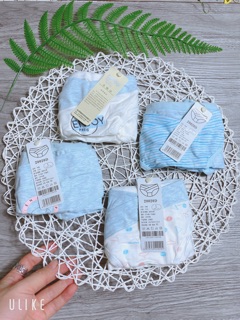 Bầu chip bầu dành cho nữ