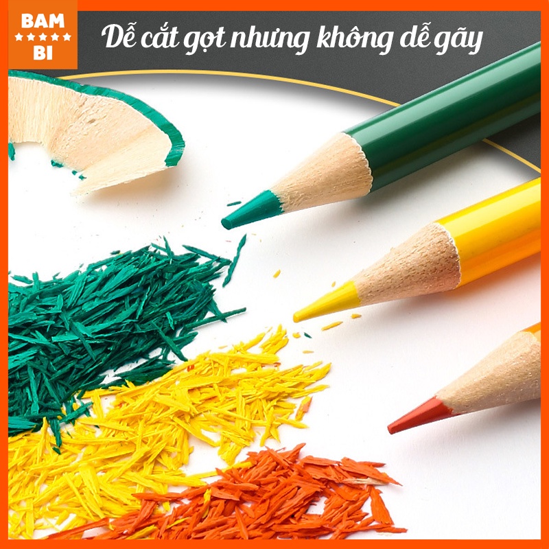 Bút chì màu gốc dầu cao cấp Bambi gỗ tự nhiên 24/36màu thích hợp cho vẽ chuyên nghiệp, thiết kế, phác họa