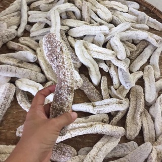 200g hải sâm cát