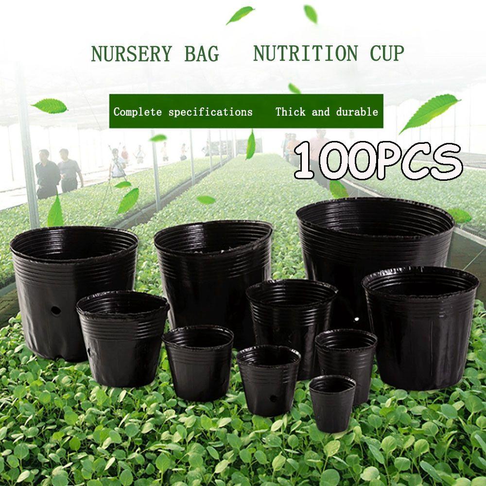 100 Hộp Gieo Hạt Trồng Cây