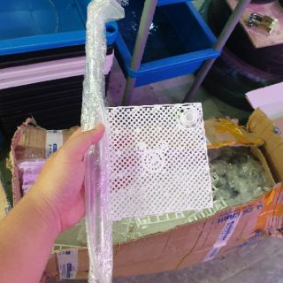 Lọc đế taiwan dành cho hồ cá