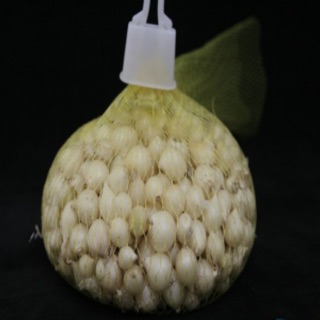 Hành Tăm - (Củ Nén) Nghệ An 100g