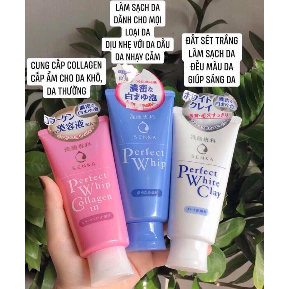 Sữa Rửa Mặt Senka Perfect Whip 120g - Nhật Bản [GÌ CŨNG RẺ] | BigBuy360 - bigbuy360.vn