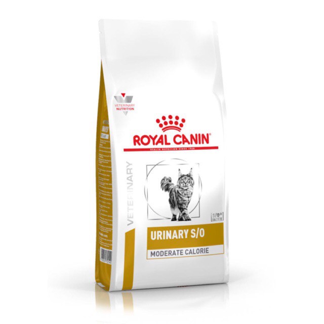 BỆNH SỎI THẬN Ở MÈO ROYAL CANIN URINARY S/O 1,5kg