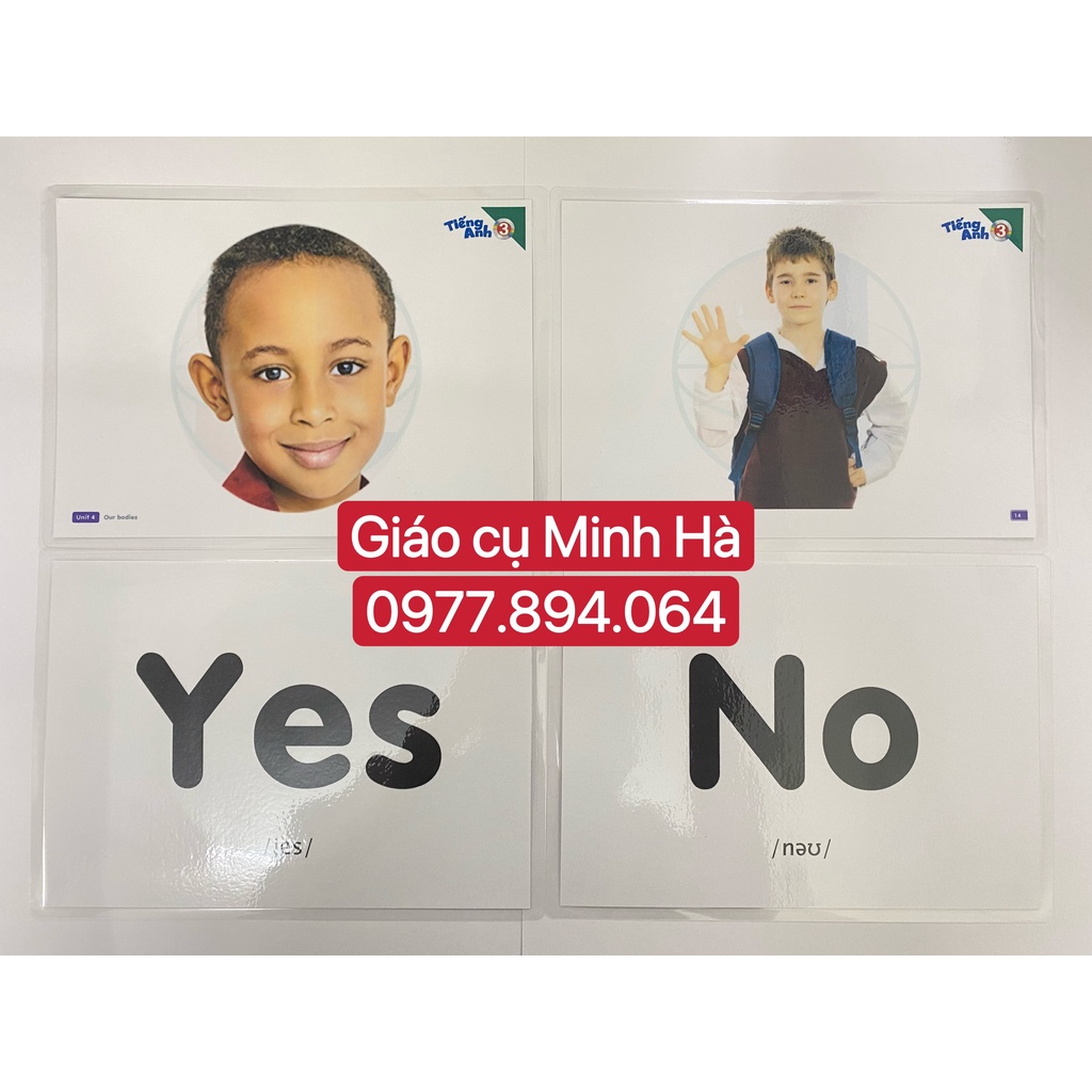 Flashcards Tiếng Anh Global Success 3 - BDG mới nhất 2022- 183 thẻ ép plastic