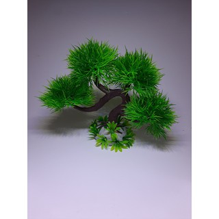 Cây nhựa trang trí bonsai