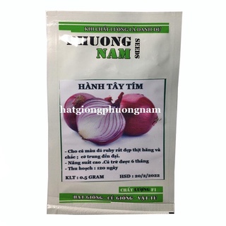 0.3 GR - HẠT GIỐNG HÀNH TÂY TÍM