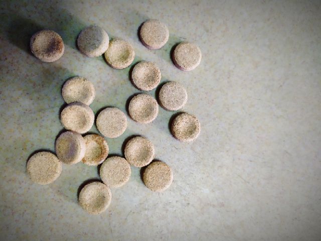 100 viên - Thức ăn dán kính cao cấp Adhesive food. Thức ăn cho cá cảnh