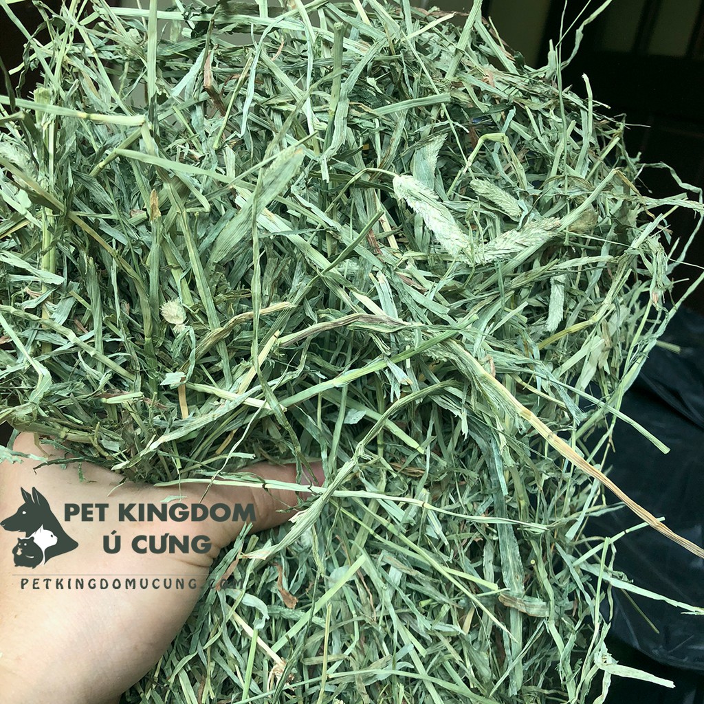 Thức ăn guinea pig cỏ timothy
