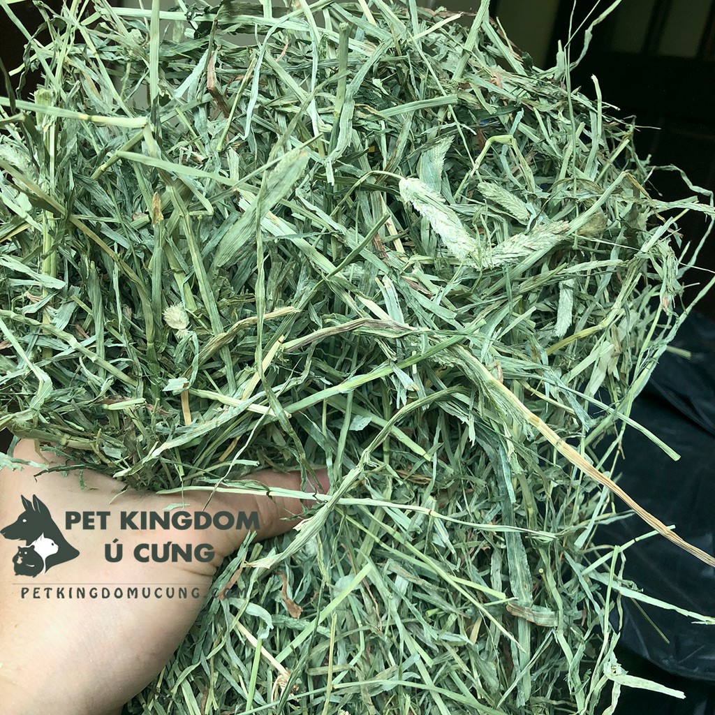 Thức ăn guinea pig cỏ timothy (500gr)