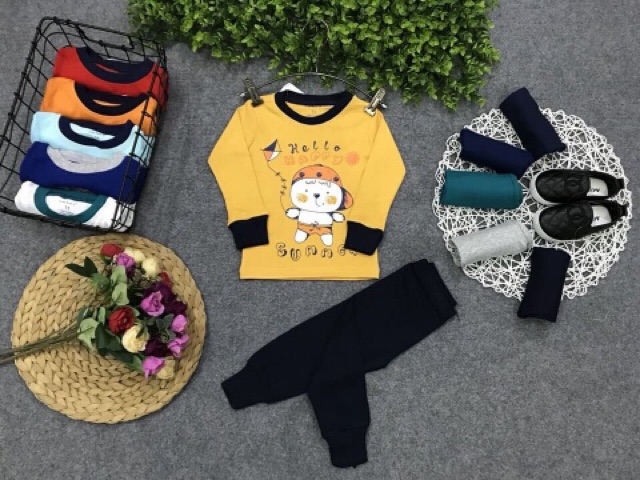 Bộ bozip/borip dài tay vnxk màu vàng 8-21 kg ( hình thật )