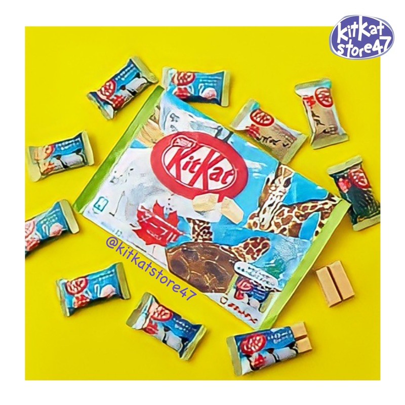 KITKAT VỊ SIRO LÁ THÔNG