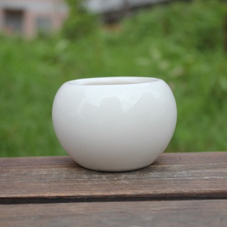Chậu gốm sứ tráng men cao cấp