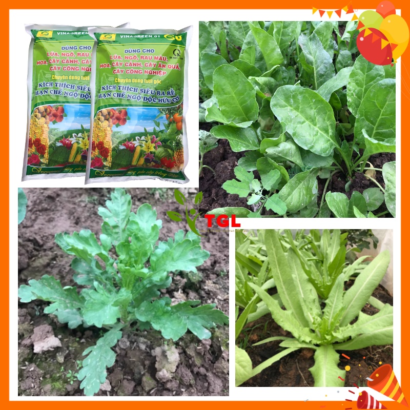Phân bón vi lượng VINAGREEN 01 - G8 - Phân bónTưới Gốc - Kích Thích Siêu Ra Rễ Hạn Chế Ngộ Độ Hưu Cơ- Gói 1kg