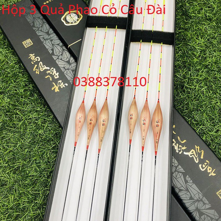 Hộp 3 Quả Phao Cỏ Câu Đài, Cỏ Lau Sậy Tự Nhiên 100% T-06