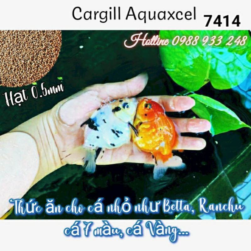 Cám cá Cargill 7414 dùng cá cảnh, cá 7 màu hoặc dùng làm mồi câu
