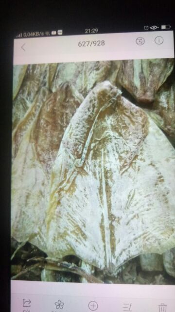 [Mã 77FMCGSALE1 giảm 10% đơn 250K] 10 con mực mini y hình Giá Chỉ 55k | BigBuy360 - bigbuy360.vn