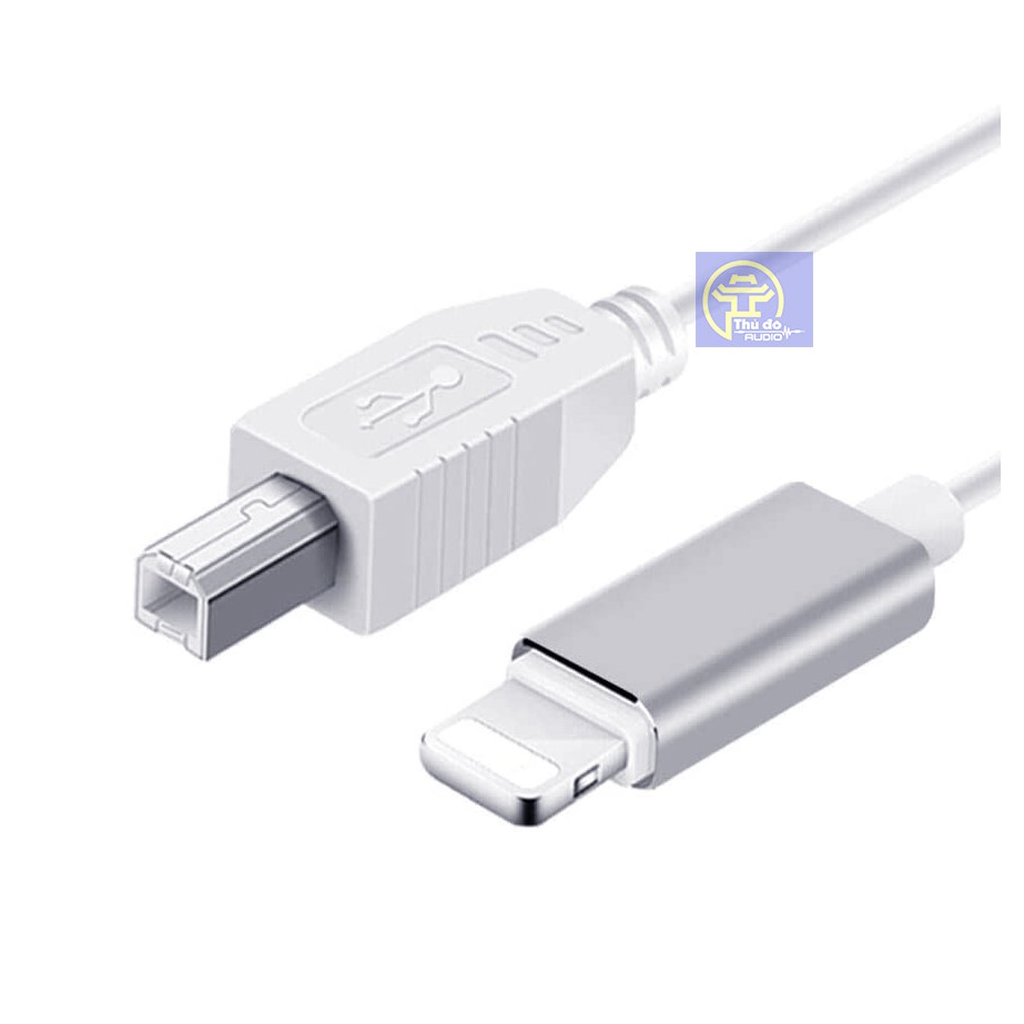 Dây Cáp kết nối điện thoại Iphone, ipad với DAC âm thanh kết hợp đầu sạc USB - Dây Iphone DAC