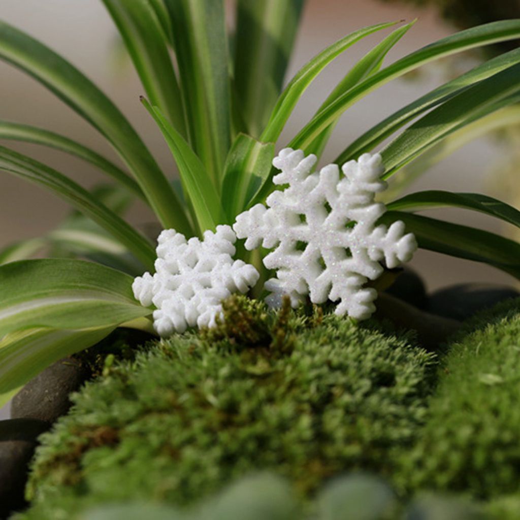 Bộ 10 bông tuyết mini trang trí cây thông giáng sinh sáng tạo DIY