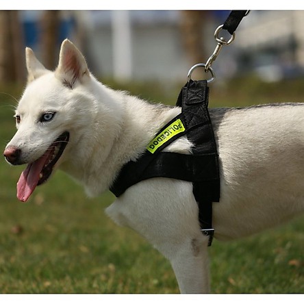 Doremiu- Bộ Dây dắt chó lớn kèm Yếm ngực POLICEDOG có phản quang (thường dùng cho chó nghiệp vụ)