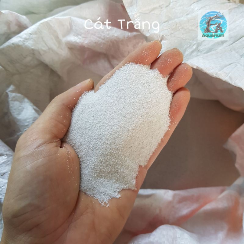 Cát trắng cho hồ thuỷ sinh - 500g