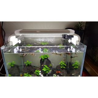 Đèn led Gebo đổi màu cho bể thủy sinh (30 cm - 40 cm-50 cm-60 cm)