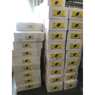 Phân bón NT Vitamin B1 cho Phong Lan 250ml