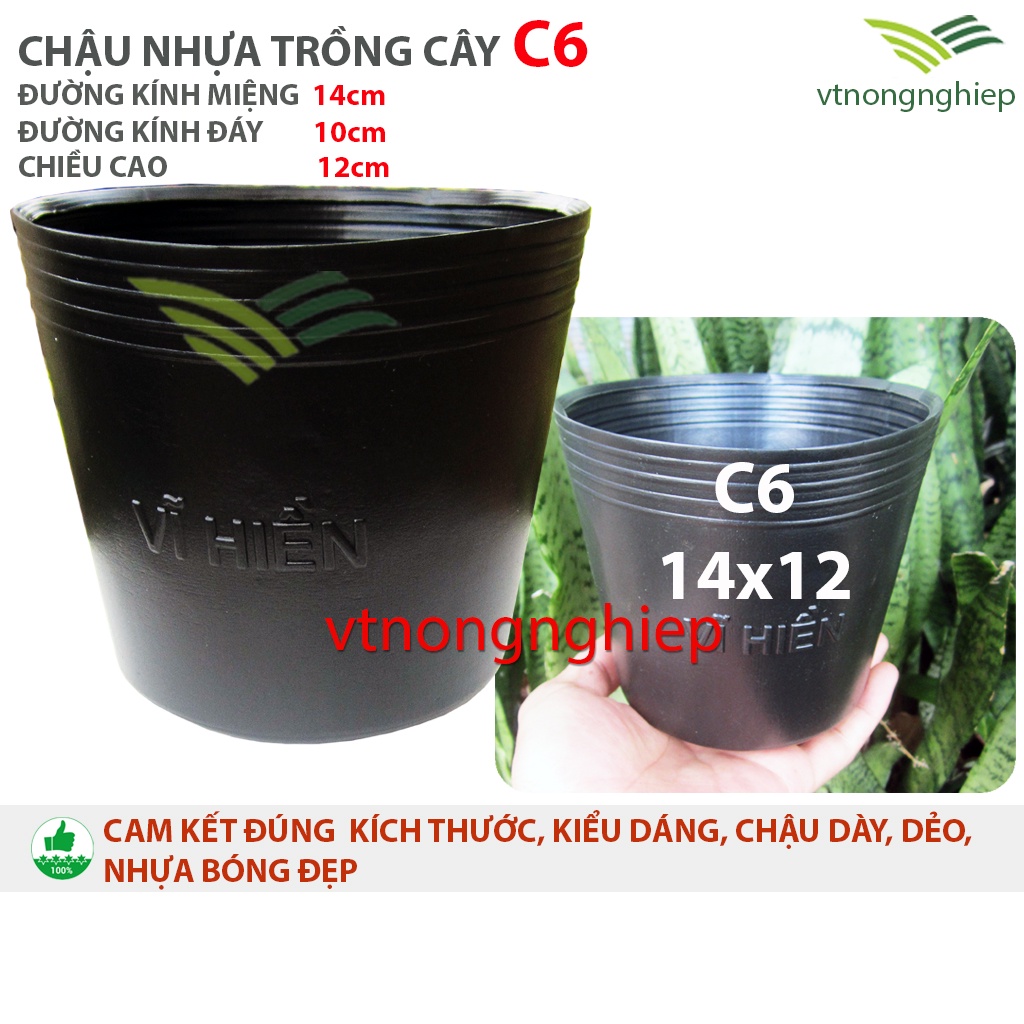 5 Chậu nhựa trồng cây, chậu nhựa đen Vĩ Hiền, chậu trồng hoa, cây cảnh, size từ C5-C10, C17-C20