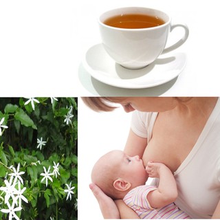 Bột Chè Vằng Nguyên Chất 100g