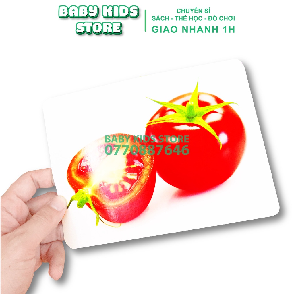 Bộ Thẻ Học Thông Minh 14 Chủ Đề loại To Song Ngữ Tiếng Anh Loại Chuẩn Glenn Doman Flashcard Cho Bé Từ 0-6 Tuổi