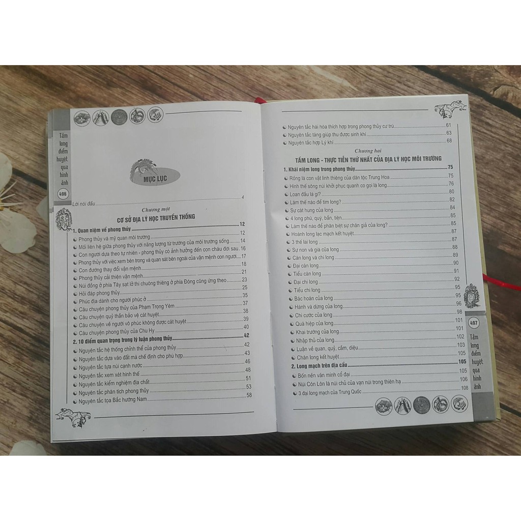 Sách - Tầm Long Điểm Huyệt Qua Hình Ảnh Gigabook | BigBuy360 - bigbuy360.vn