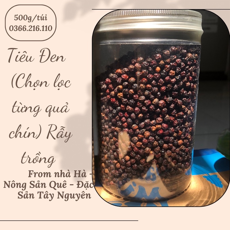 HẠT TIÊU ĐEN CHÍN ĐỎ - ĐĂK NÔNG
