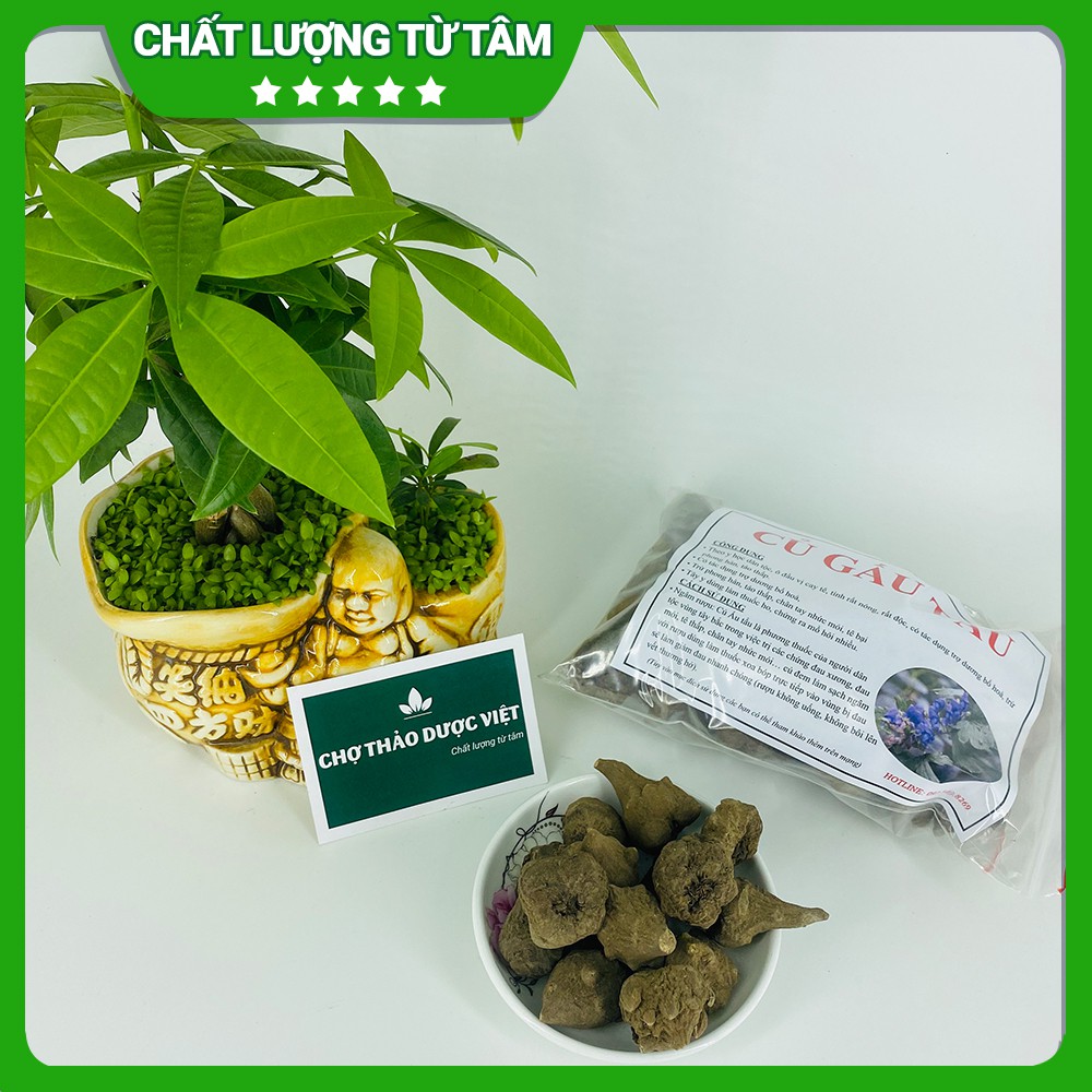 [Giá Sỉ] 500gr Củ Ấu Tàu (Gấu Tàu, Ấu Tẩu)