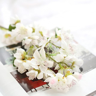 Hoa Anh Đào - Hoa Lụa Trang Trí