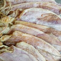 Sỉ mực mini y hình