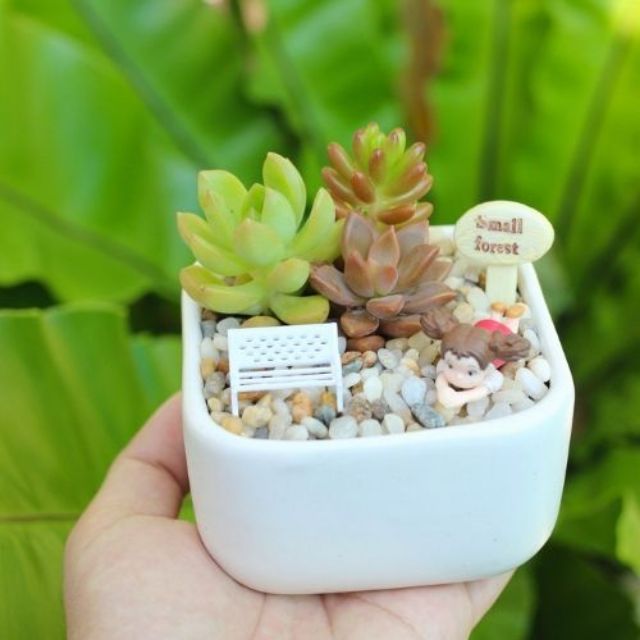 Mô hình băng ghế trắng trang trí tiểu cảnh terrarium