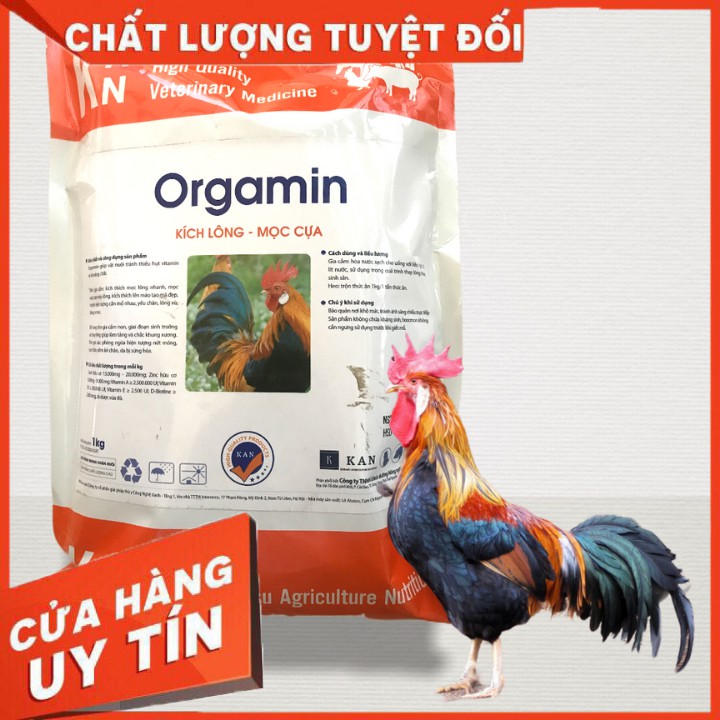 Bộ đôi Cốm béo nhân sâm và Organmin vỗ béo siêu hạng dày lườn đẹp mã cho ngan gà vịt