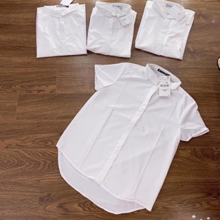 SOMI TRẮNG CỘC TAY ĐUÔI TÔM ( ảnh tự chụp)