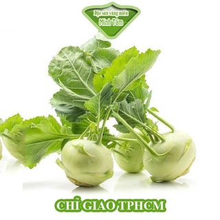 Su hào tươi ngon loại 1