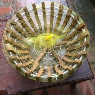 Túi lót chậu 100g
