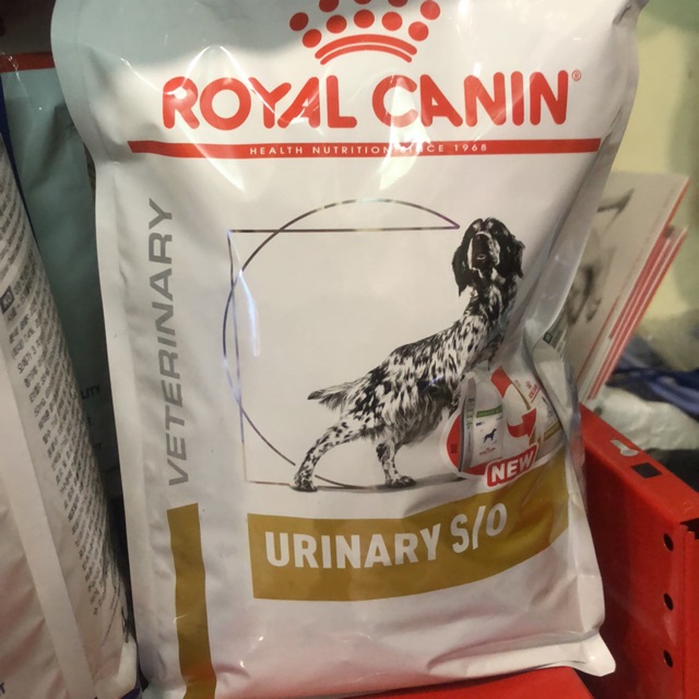 Hạt khô cho chó sỏi thận royal canin urinary