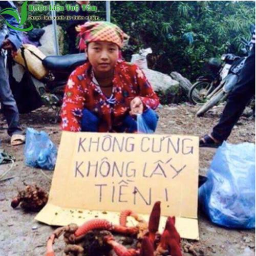 200gam nấm ngọc cẩu khô nguyên búp - cao cấp | BigBuy360 - bigbuy360.vn