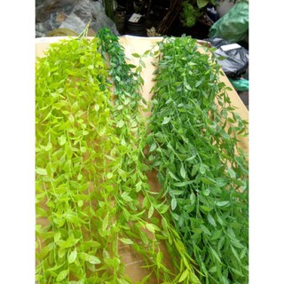 Cây giả- cụm lá liễu rủ 80cm