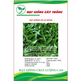 Hạt giống cỏ lá gừng ct230 - gói 100 hạt