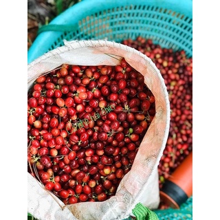 Cafe Mix đặc biệt 500gr